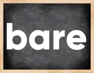 3 forms of the verb bare