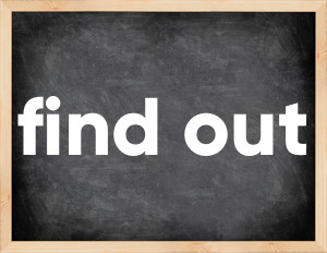 3 forms of the verb find out in English