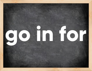 3 forms of the verb go in for