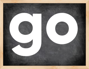 3 forms of the verb go in English