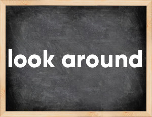 3 forms of the verb look around