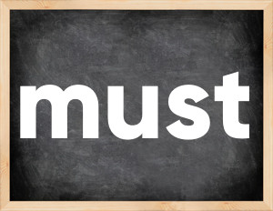 3 forms of the verb must in English