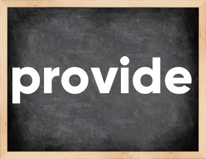 3 forms of the verb provide