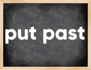3 forms of the verb put past