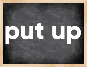 3 forms of the verb put up