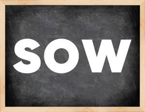 3 forms of the verb sow